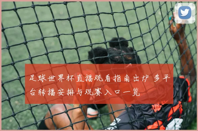 足球世界杯直播观看指南出炉 多平台转播安排与观赛入口一览
